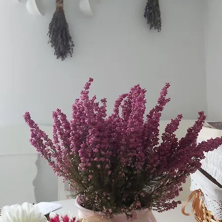 Apartamento Lawendowe Love Rynek Close Center Rzeszów